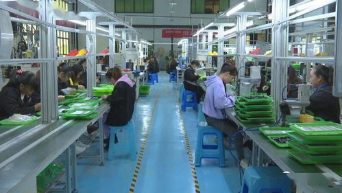 訂單式生產(chǎn)與電商運營雙輪驅(qū)動，安龍電子產(chǎn)品產(chǎn)業(yè)前景廣闊